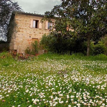 La Vigna Agriturismo Villa Сиена Екстериор снимка