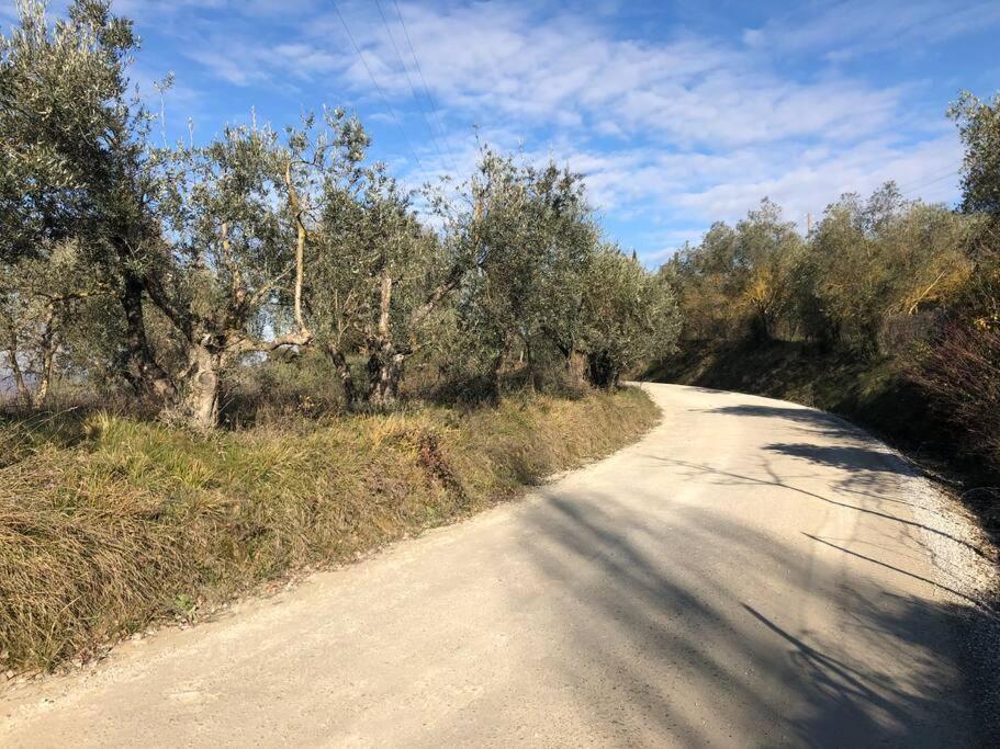 La Vigna Agriturismo Villa Сиена Екстериор снимка