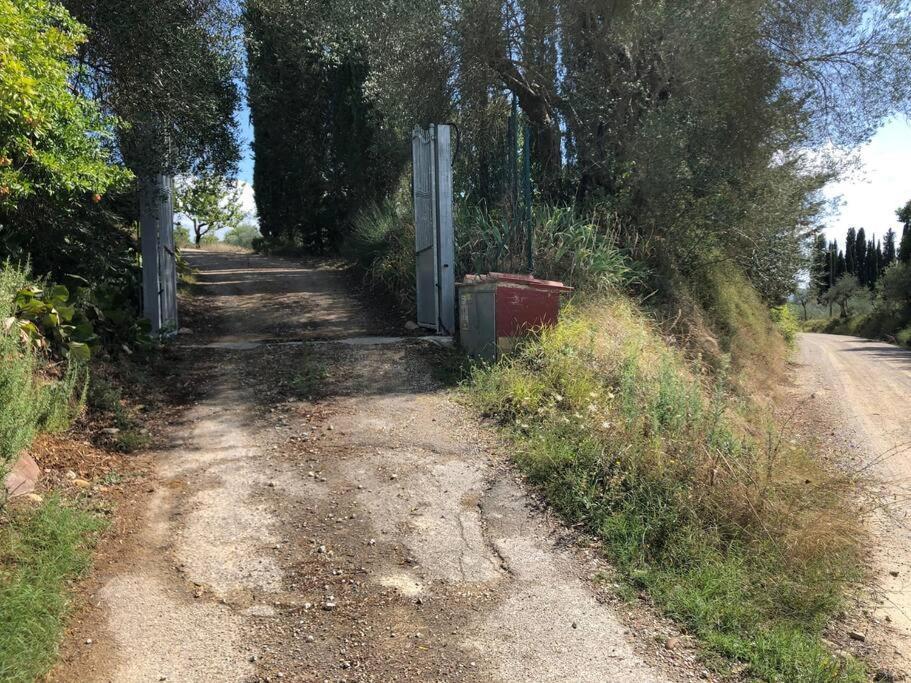 La Vigna Agriturismo Villa Сиена Екстериор снимка