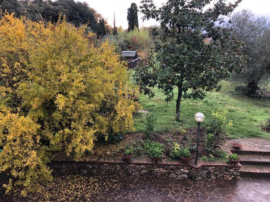 La Vigna Agriturismo Villa Сиена Екстериор снимка