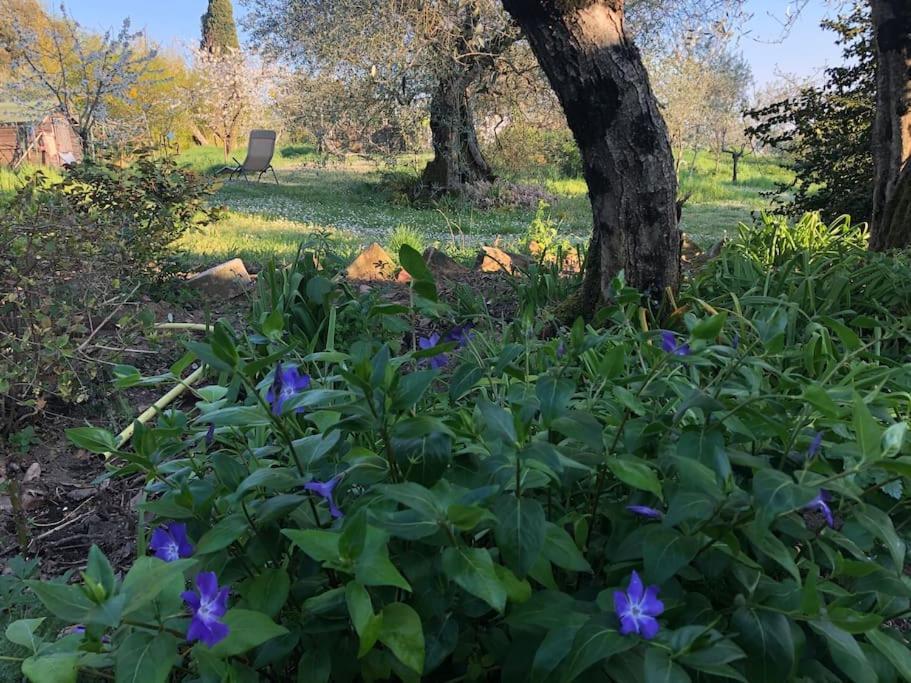 La Vigna Agriturismo Villa Сиена Екстериор снимка