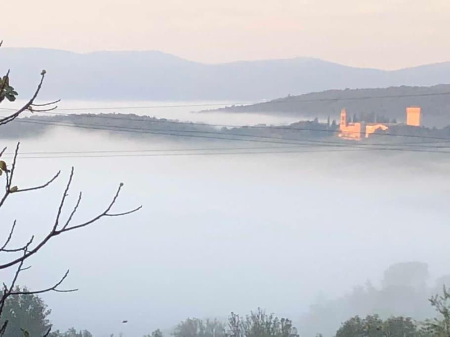 La Vigna Agriturismo Villa Сиена Екстериор снимка