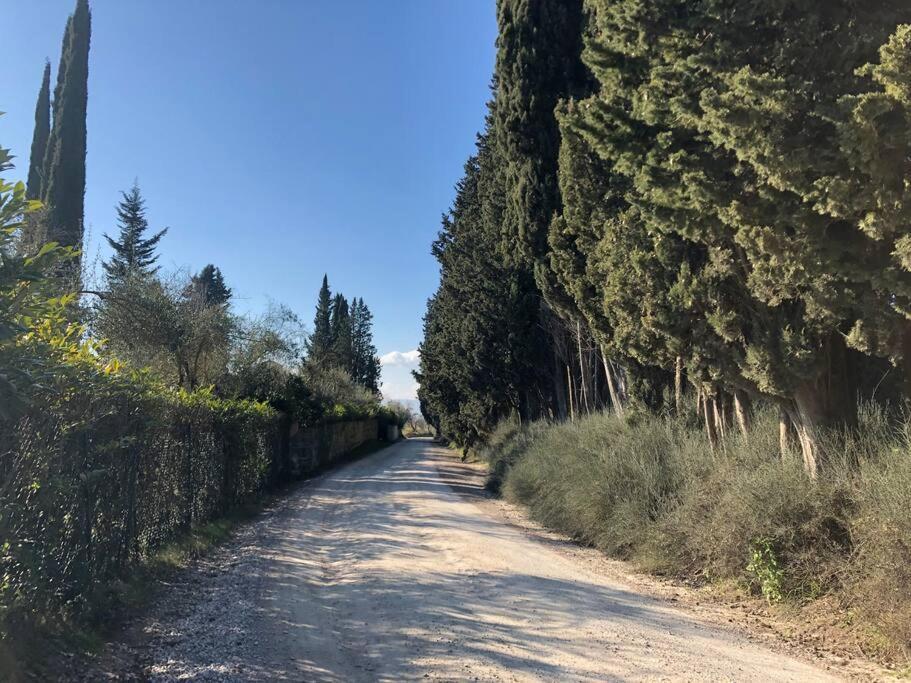 La Vigna Agriturismo Villa Сиена Екстериор снимка