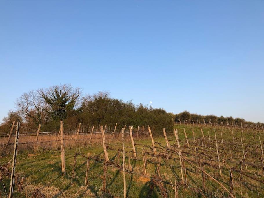 La Vigna Agriturismo Villa Сиена Екстериор снимка