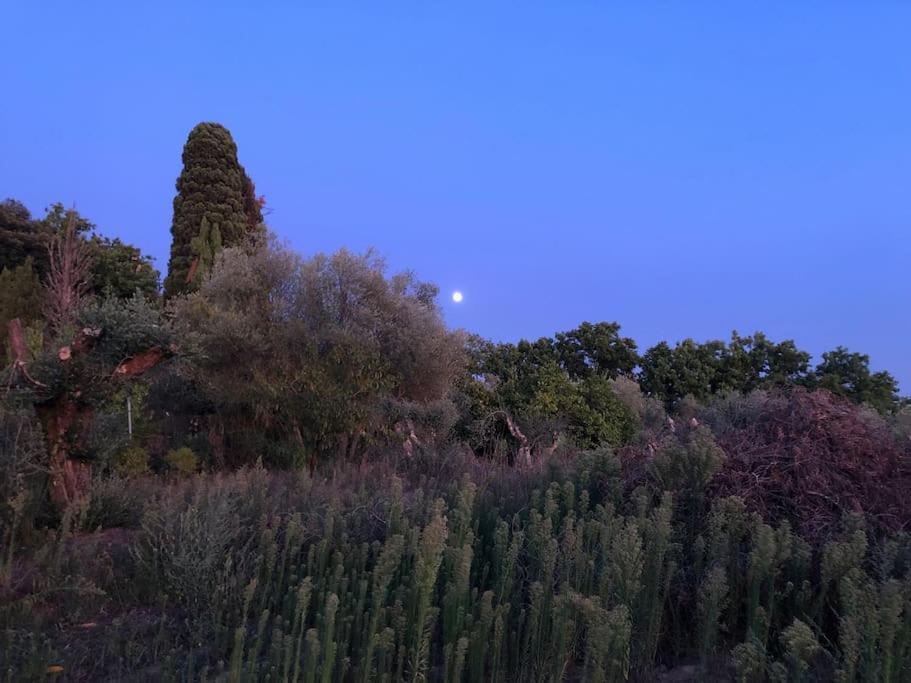 La Vigna Agriturismo Villa Сиена Екстериор снимка