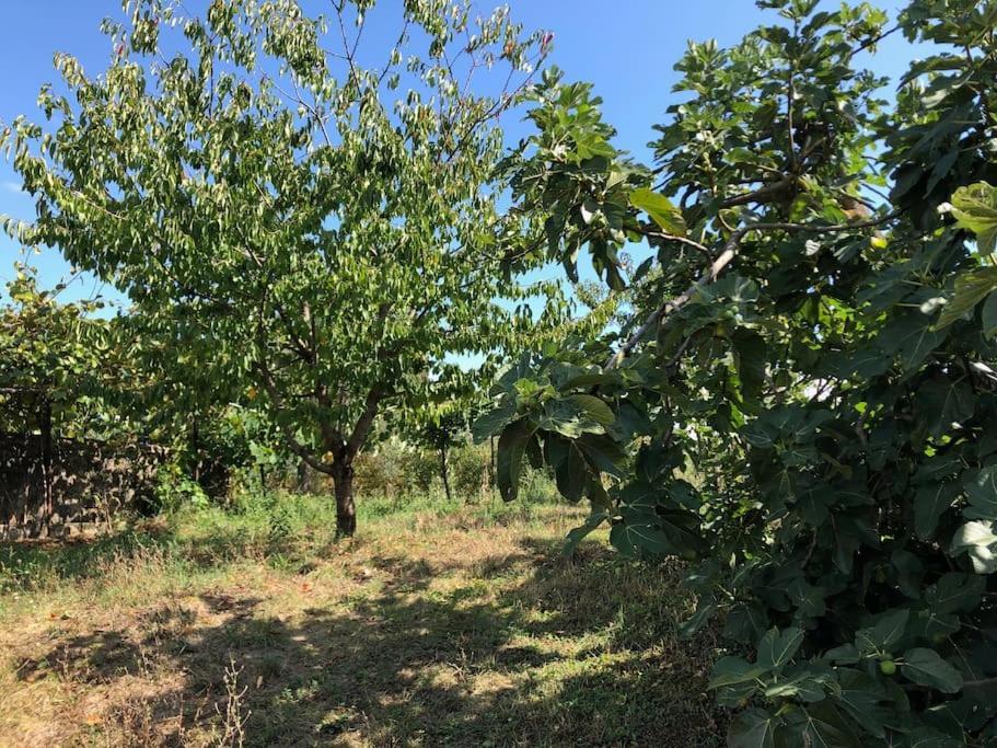 La Vigna Agriturismo Villa Сиена Екстериор снимка