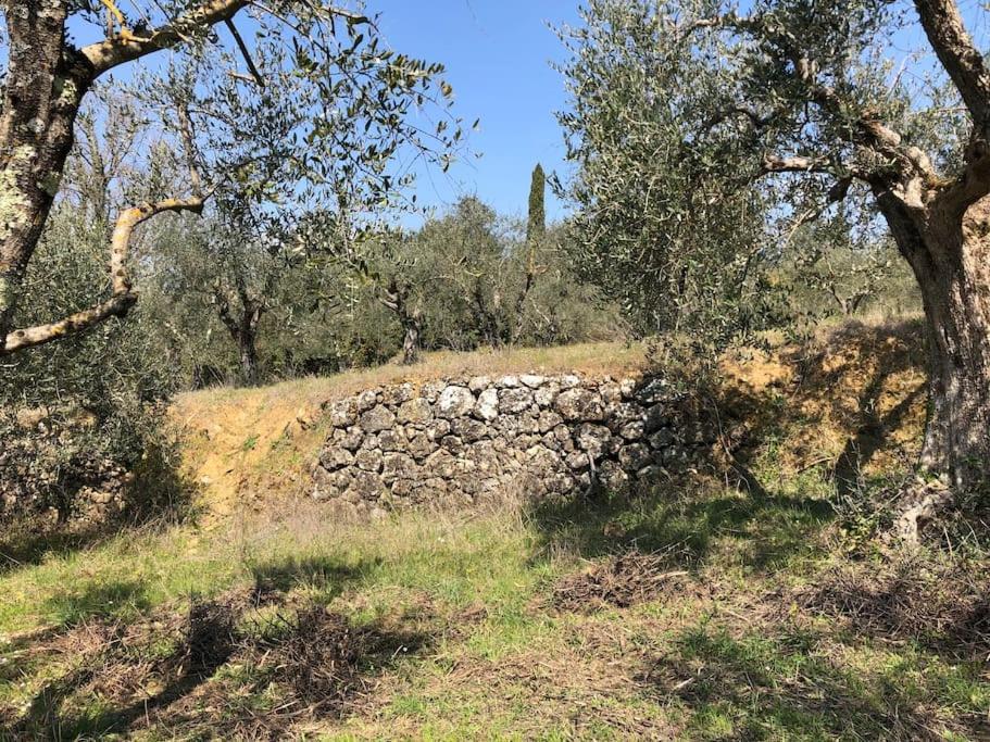 La Vigna Agriturismo Villa Сиена Екстериор снимка