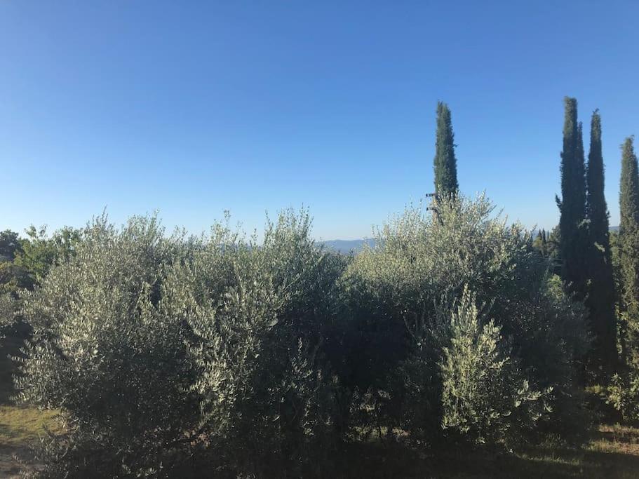 La Vigna Agriturismo Villa Сиена Екстериор снимка