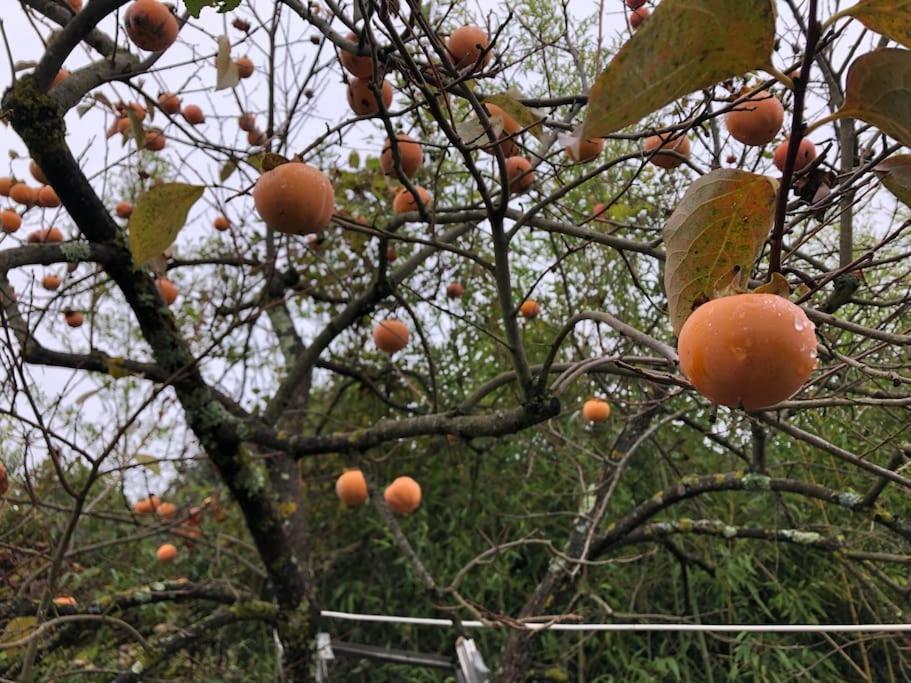 La Vigna Agriturismo Villa Сиена Екстериор снимка