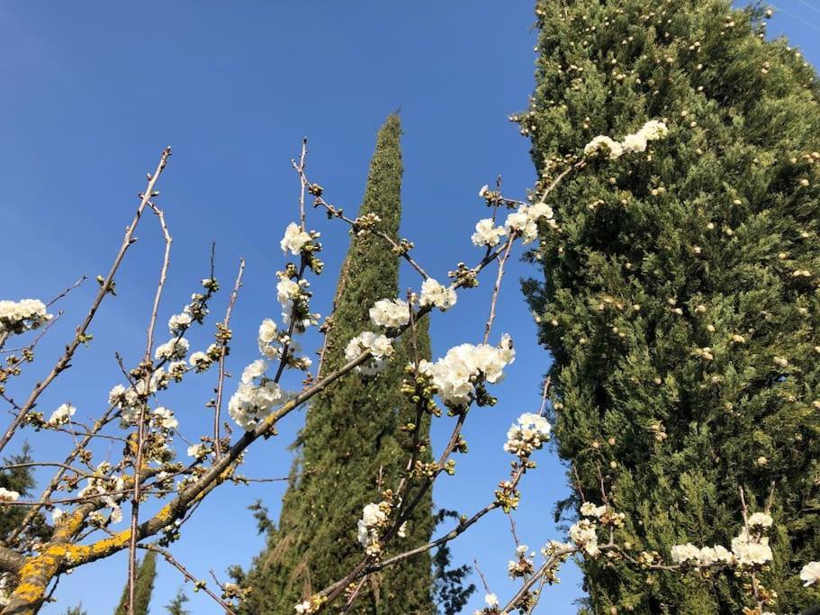 La Vigna Agriturismo Villa Сиена Екстериор снимка
