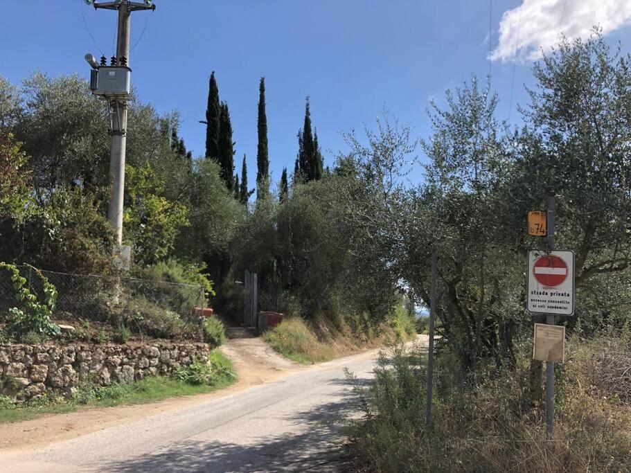 La Vigna Agriturismo Villa Сиена Екстериор снимка