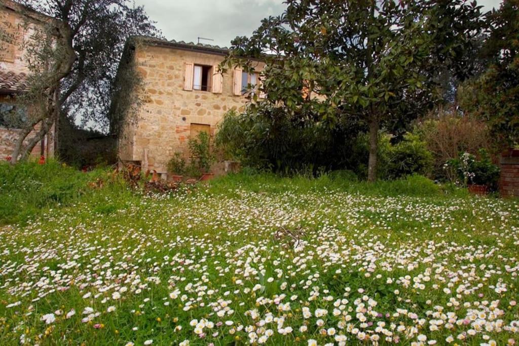 La Vigna Agriturismo Villa Сиена Екстериор снимка